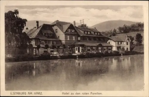 Ak Ilsenburg im Harz, Hotel zu den roten Forellen