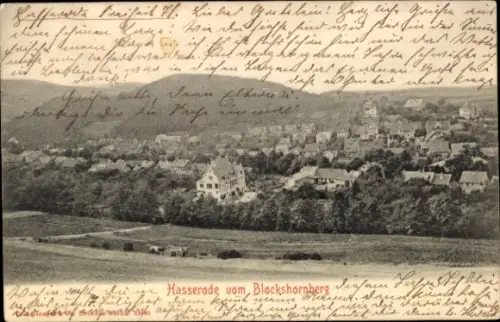 Ak Hasserode Wernigerode im Harz, Gesamtansicht vom Blockshornberg