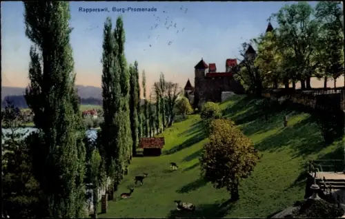 Ak Rapperswil Kanton Sankt Gallen, Burg-Promenade