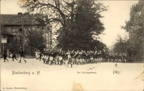 Ak Blankenburg am Harz, Blankenburg a. H., Am Schnappelberg