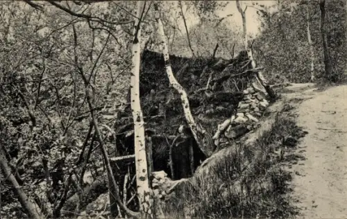 Ak Blankenburg am Harz,  Rhotertsche Realschule u. Alumnat, Schutzhütte im Waldpark