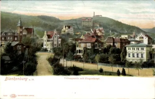 Litho Blankenburg am Harz, Villenpartie mit Ziegenkopf