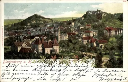 Ak Blankenburg am Harz, Panorama