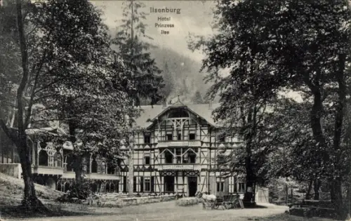 Ak Ilsenburg im Harz, Hotel Prinzess Ilse