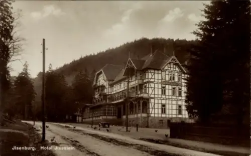 Ak Ilsenburg im Harz, Hotel Ilsestein