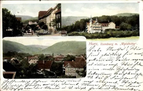 Ak Ilsenburg im Harz, Harz, Ilsenburg, Waldhöhe