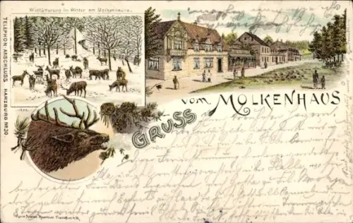 Litho Bad Harzburg in Niedersachsen, Molkenhaus, Wildfütterung im Winter, Hirsch