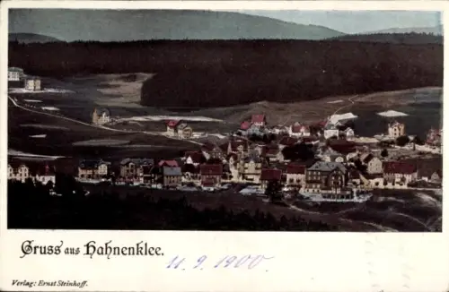 Ak Hahnenklee Goslar im Harz, Gesamtansicht