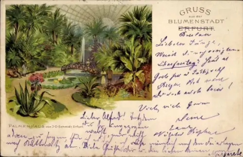 Litho Erfurt in Thüringen, Palmenhaus