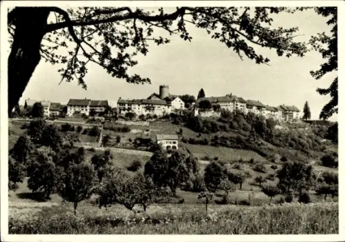 Ak Regensberg Kanton Zürich Schweiz,  Gesamtansicht