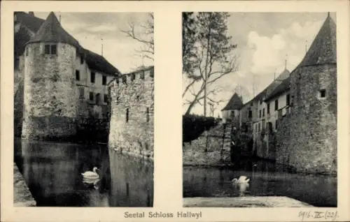 Ak Seengen Kanton Aargau, Schloss Hallwyl, Seetal