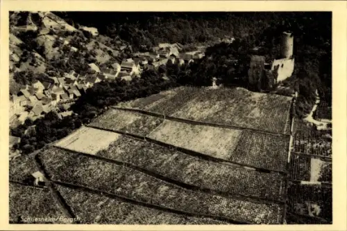 Ak Schriesheim an der Bergstraße, Fliegeraufnahme