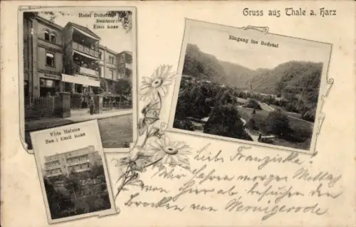 Ak Thale im Harz, Bodetal, Hotel Daheim, Villa Helene