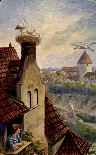 Künstler Ak Ortspartie, Storchnest