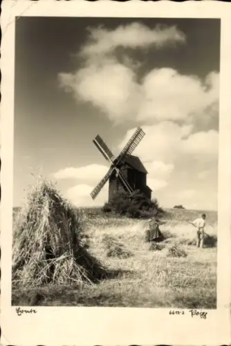 Ak Windmühle zwischen Jauer und Striegau, Ernte