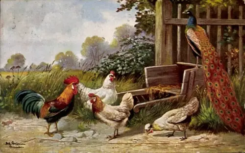 Künstler Ak Schönian, Alfred, Pfau, Hahn und Hühner