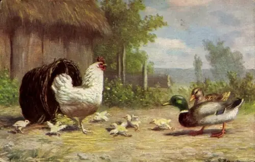 Ak Henne, Küken, Enten, Korb