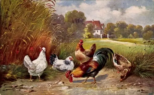 Künstler Ak Schönian, Alfred, Hahn mit Hennen, Ente