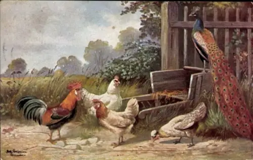 Künstler Ak Schönian, Alfred, Pfau, Hahn und Hühner