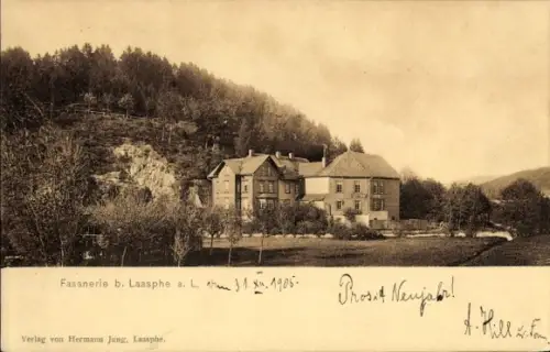 Ak Bad Laasphe in Westfalen, Fasanerie b. Laasphe a. L., Verlag Hermann Jung, Laasphe