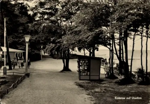 Ak Ostseebad Koserow auf Usedom,  Strandpromenade, Zeitungskiosk, Ostseestrand, Baumallee