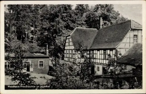 Ak Eisenberg in Thüringen, Froschmühle, Mühltal