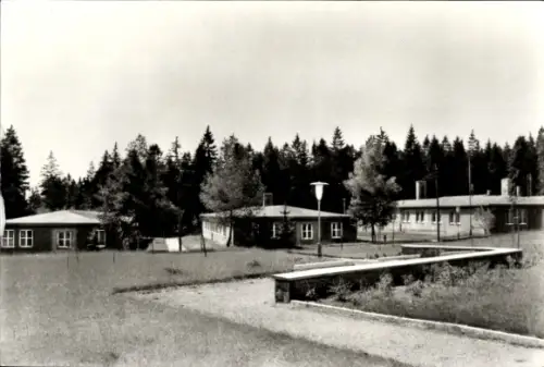 Ak Almsfeld Thale im Harz, Harztourist Almsfeld, 3721 ALMSFELD (Kr. Wernigerode)