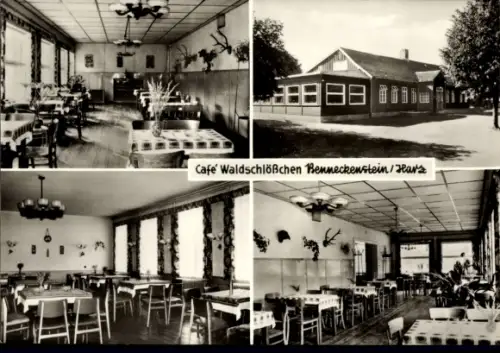 Ak Benneckenstein Oberharz, Café Waldschlößchen, Aussen- und Innenansicht