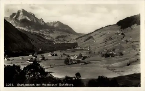 Ak Wildhaus Kanton St Gallen Schweiz, Starkenbach mit Wildhuser Schafberg