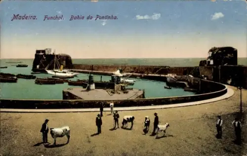 Ak Funchal Insel Madeira Portugal, Bahia da Pontinha