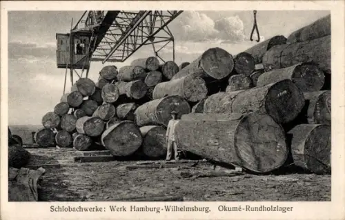 Ak Hamburg Wilhelmsburg, Schlobachwerke, Okumé-Rundholzlager, Schlangendeich
