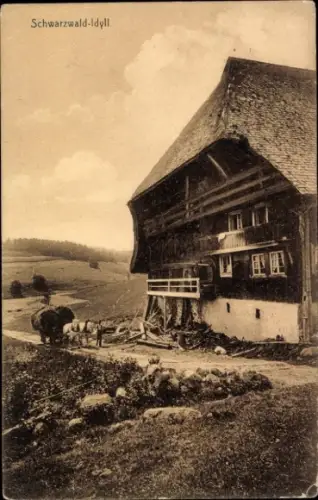 Ak Schwarzwald-Idyll, Schwarzwälder Haus