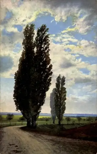 Ak Bäume am Straßenrand, Photochromie Nenke und Ostermaier Serie 158 Nr. 2817