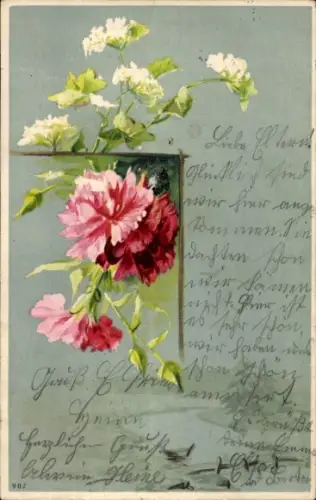 Ak Blumen, Knospen