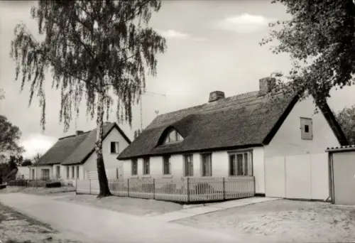 Ak Ostseebad Zempin auf Usedom,  Reetdachhäuser, Straßenansicht