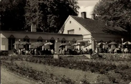Ak Putbus auf der Insel Rügen, Konsum Rosen Café
