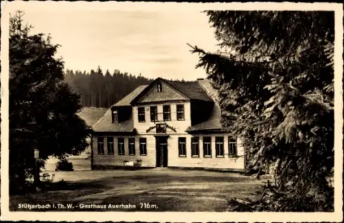 Ak Stützerbach Ilmenau Thüringer Wald,  Gasthaus Auerhahn, 716 m