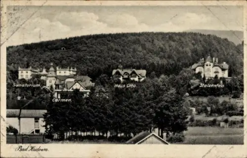 Ak Bad Kudowa Schlesien, Haus Carmen, Haus Otto, Stolzenfels, Sanatorium