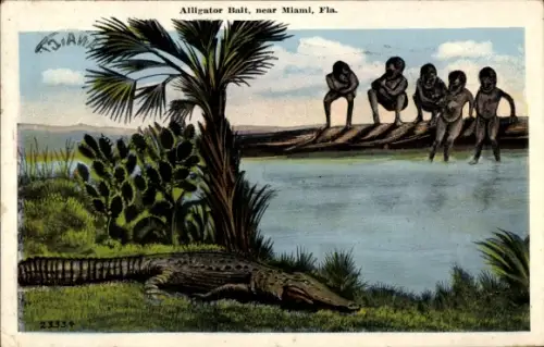 PC Miami Florida USA, Alligator Balt
