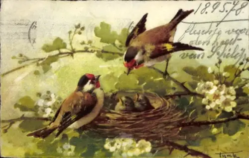 Künstler Ak Klein, Catharina, Vogelnest