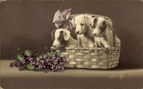 Ak Hundewelpen im Korb, Blumen