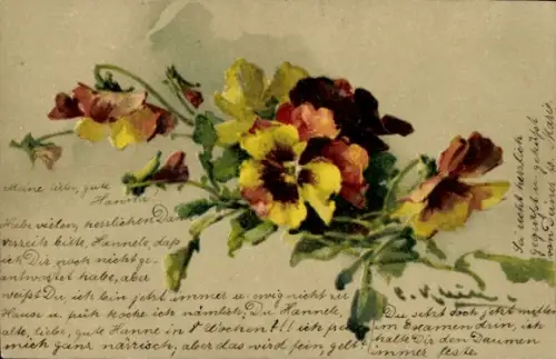 Künstler Ak Klein, C., Stiefmütterchen