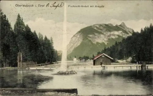 Ak Oberleutasch Leutasch in Tirol, Fischzucht Anstalt mit Arnspitz