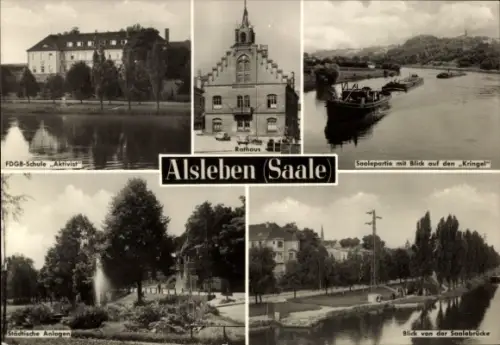 Ak Alsleben an der Saale, Rathaus, FDGB Schule Aktivist, Saalepartie mit Blick auf den Kringel
