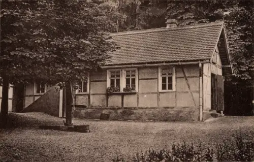 Ak Ronneburg in Thüringen, Fasanerie