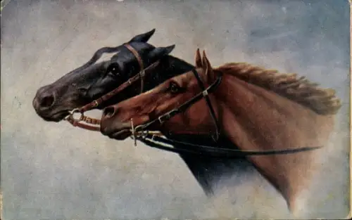 Künstler Ak Pferdegespann, Pferdeköpfe, Zaumzeug, Portrait