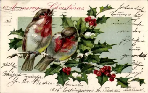 Präge Ak Glückwunsch Weihnachten, Stechpalme, Vögel