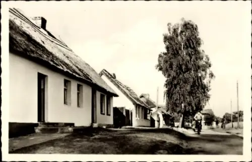 Ak Ostseebad Zempin auf Usedom,  Peenestraße