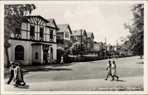 Ak Ostseebad Zempin auf Usedom,  Waldstraße