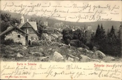 Ak Schierke Wernigerode im Harz, Teilansicht